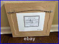 Disney Framed Pin Set Evil Queen Model Sheet LE 659/ 7500 with Certification