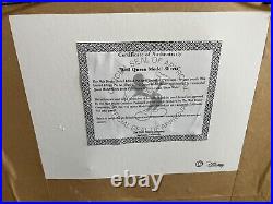 Disney Framed Pin Set Evil Queen Model Sheet LE 659/ 7500 with Certification