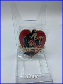 Old Hag Villaintine LE 100 Auctions Pin Snow White Evil Queen Valentine