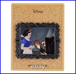 Snow White Old Hag Evil Queen Limited Edition LE 250 Pin Disney 3D Frame RARE