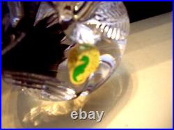 Waterford Clear Crystal Glass Limited Edition #1360/1500 Snow White's Apple